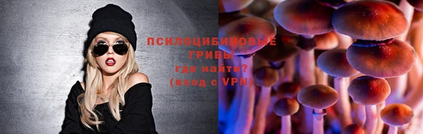 spice Абаза