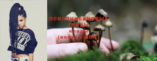 PSILOCYBIN Алзамай