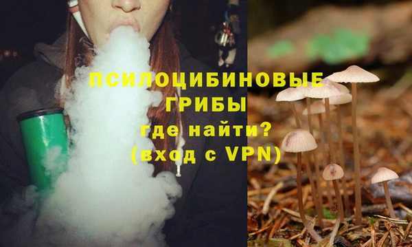 spice Абаза