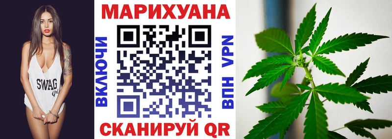 где найти   Инсар  Каннабис White Widow 